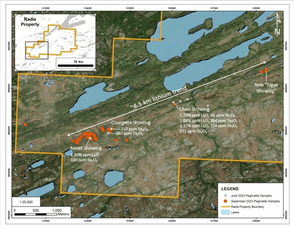 Spodumene pegmatites at Radis property, James Bay