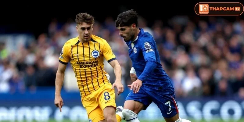 Lịch sử đối đầu Chelsea vs Brighton & Hove Albion cho thấy sự giằng co rất lớn ở hai đội tuyển