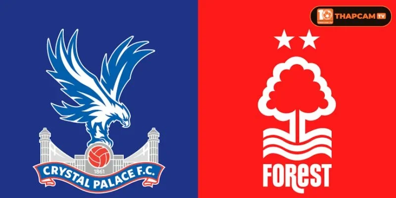 Soi kèo nhà cái Crystal Palace vs Nottingham Forest từ ThapCam TIVI hé lộ nhiều thông tin thú vị.