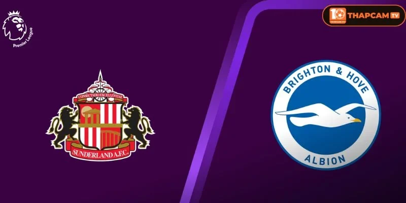 Đội hình của Sunderland vs Brighton & Hove Albion sẽ khuyết thiếu một vài vị trí song đã có sự bổ sung.
