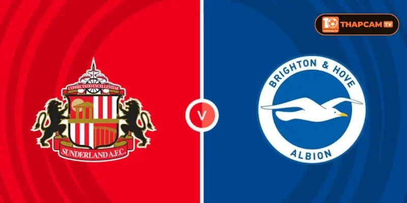 Soi kèo nhà cái Sunderland vs Brighton & Hove Albion từ ThapCam TIVI hé lộ nhiều thông tin thú vị.
